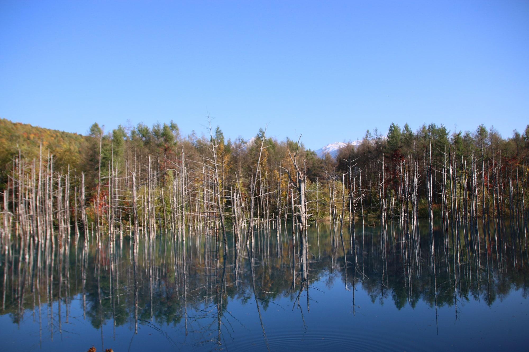 Готель Furano Shiyuirin Kamifurano Екстер'єр фото