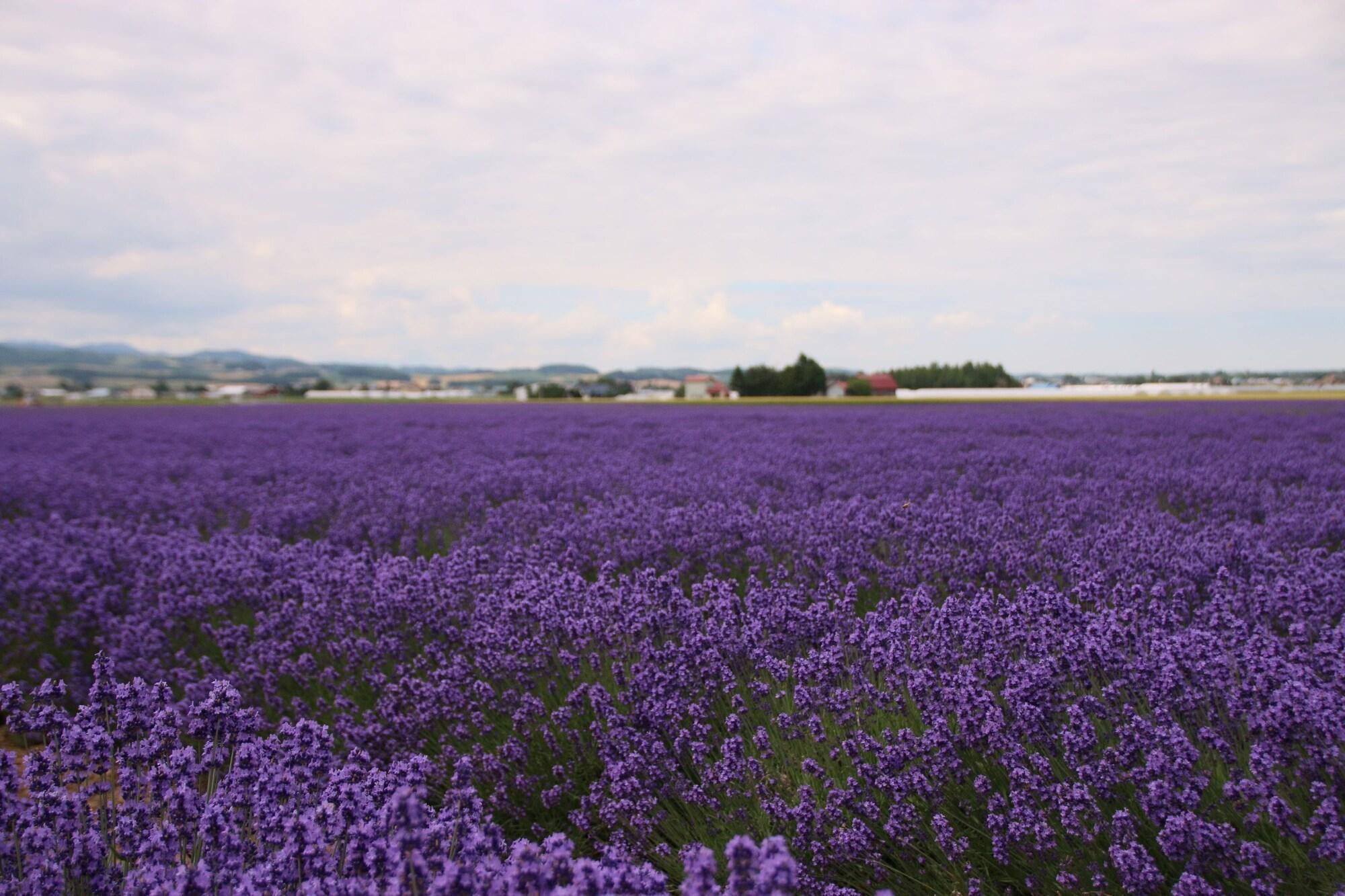 Готель Furano Shiyuirin Kamifurano Екстер'єр фото
