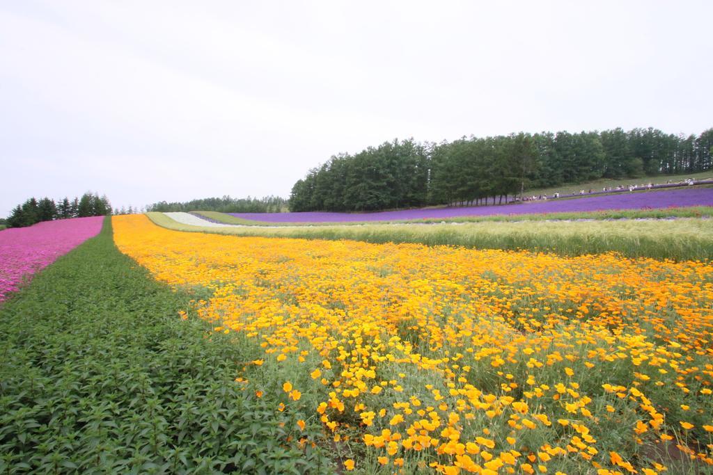 Готель Furano Shiyuirin Kamifurano Екстер'єр фото